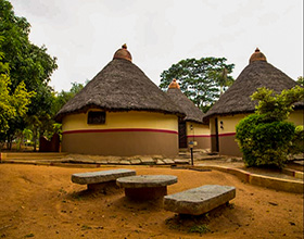 Day Out Jain Farms Bangalore